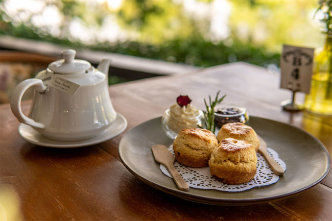 Tea and pastries in Taiwan. 